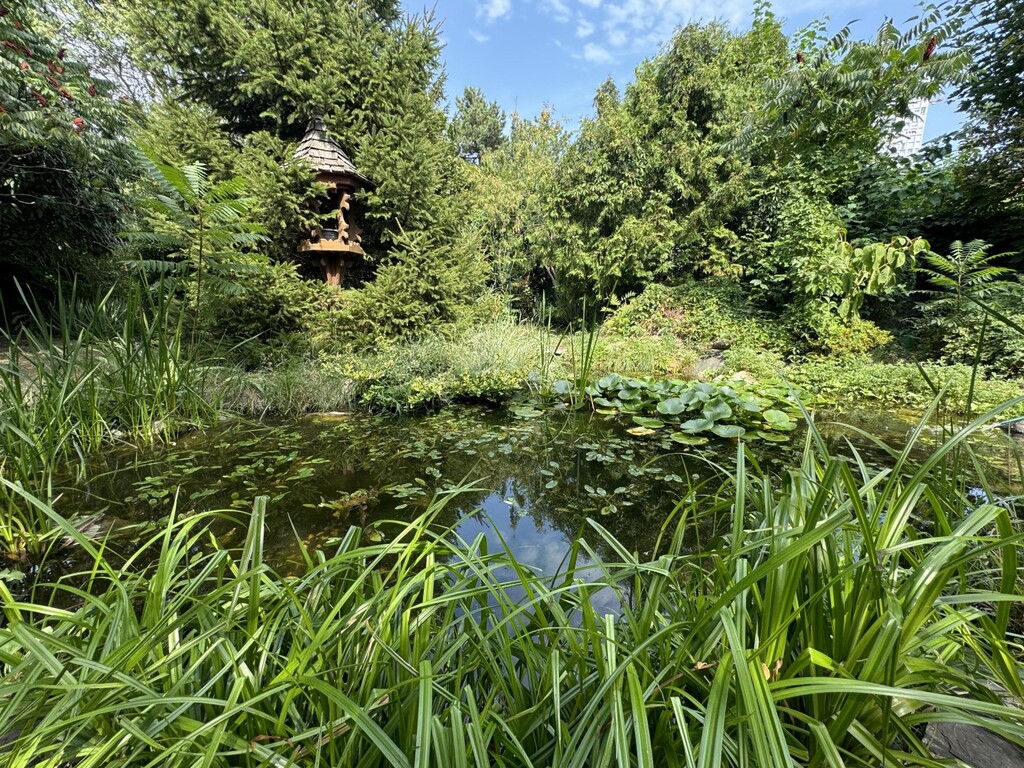 Teich im Garten