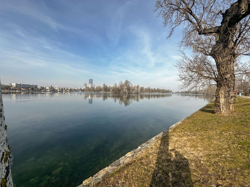 Nur 20 m vom Ufer der unteren alten Donau