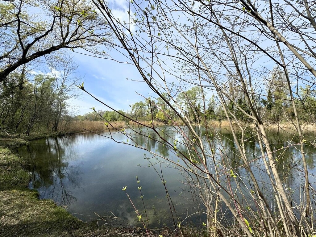 Ufer des Mühlwassers nur 20m von der Einfahrt