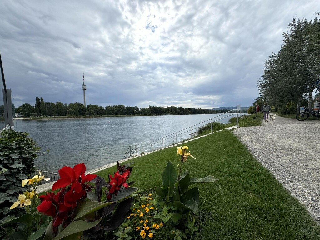 1 Gehminute zum öffentlichen Badezugang alte Donau