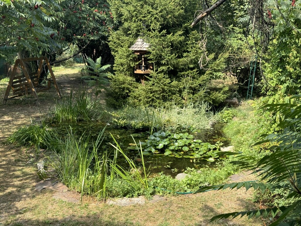 Teich im Garten