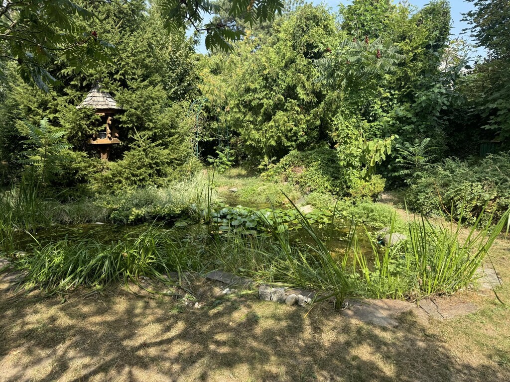 Teich im Garten