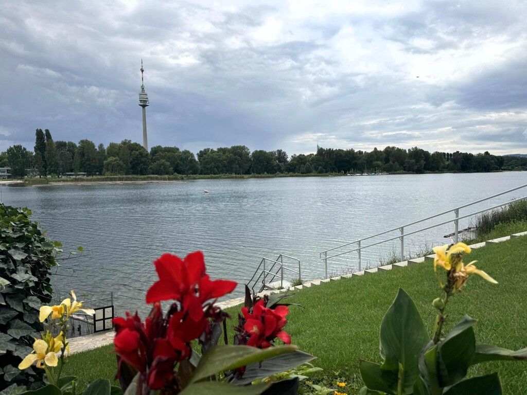 1 Gehminute zum öffentlichen Badezugang alte Donau