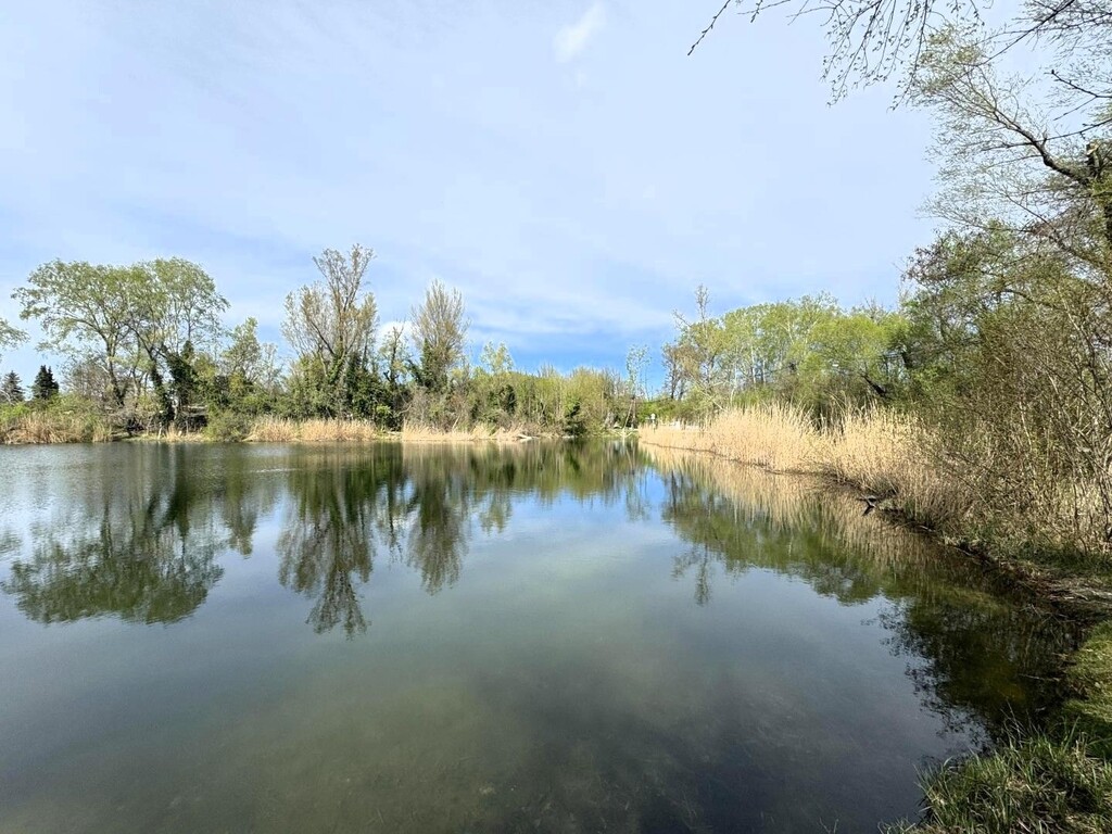 Ufer des Mühlwassers nur 20m von der Einfahrt