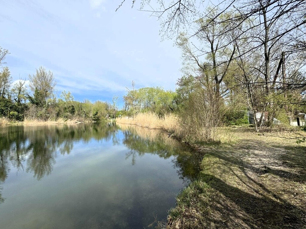 Ufer des Mühlwassers nur 20m von der Einfahrt