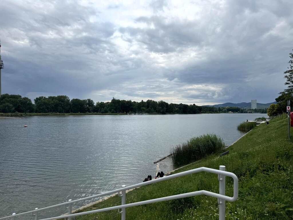 1 Gehminute zum öffentlichen Badezugang alte Donau